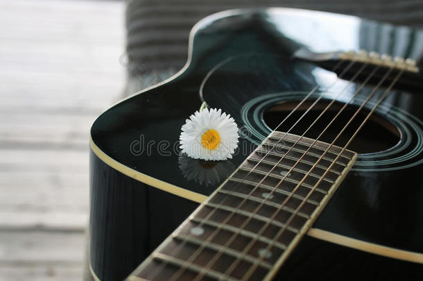 吉他绳子雏菊