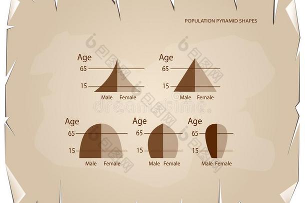 不同的类型关于人口金字塔向老的纸背景