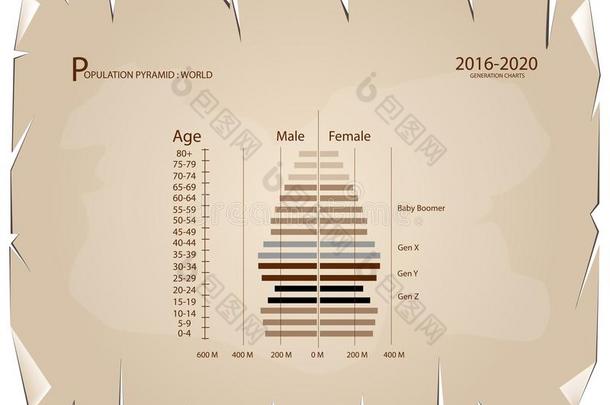 2016-2020人口金字塔图表和4一代人