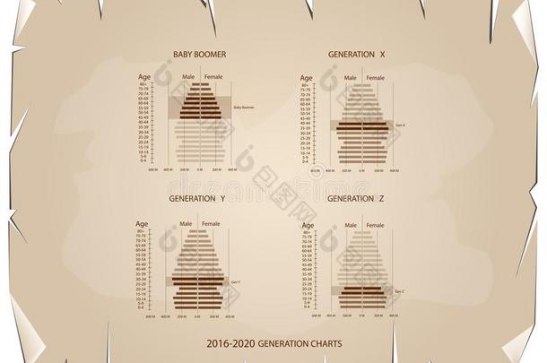 2016-2020人口金字塔图表和4一代人