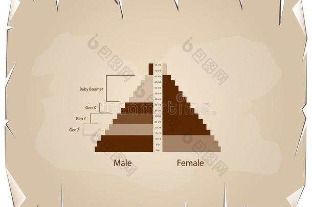 指已提到的人人口金字塔图表和4一代人