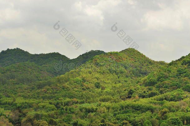 绿色的山风景采用斯里拉查,春武里,泰国