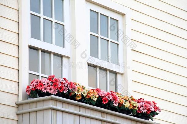 富有色彩的花盆阳台