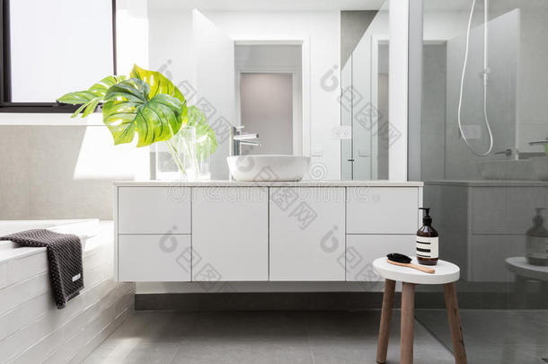 奢侈白色的家庭浴室具花柱的和温室