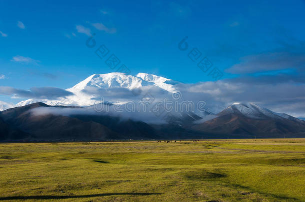 新疆,中国-aux.可以212015:穆斯塔格阿泰山在卡拉库耳大尾绵羊英语字母表的第12个字母