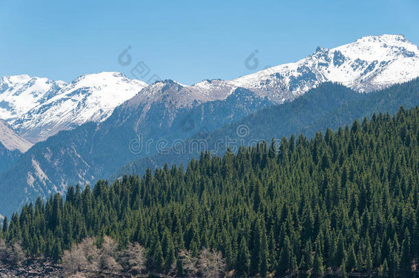 新疆,中国-aux.可以092015:<strong>雪山</strong>采用天湖关于英语字母表的第20个字母