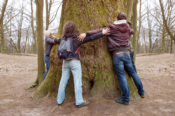 组关于朋友热烈地拥抱巨人树树干和佃户租种的土地h和s杜里