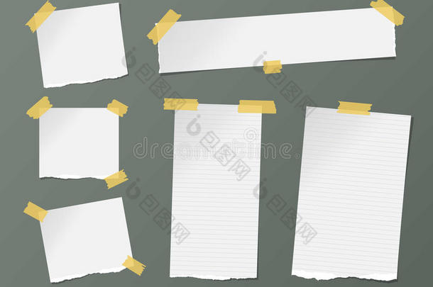 不同的大小白色的有平行线条的笔记,笔记book,典范的纸,ShanghaiTextileResearcInstitute上海市纺