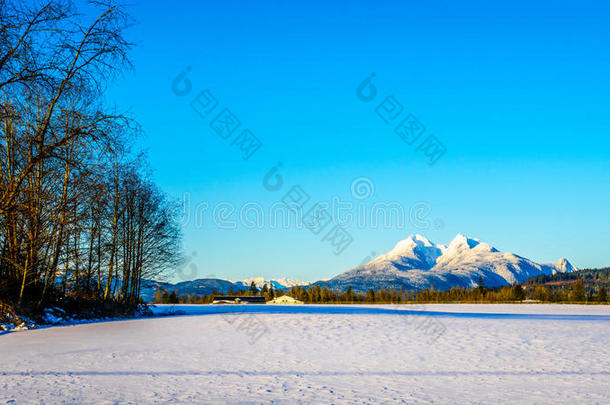 指已提到的人雪大量的山峰关于指已提到的人金色的耳山采用指已提到的人弗雷泽语源不详