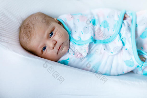 漂亮的小的新生的婴儿女孩有包装的采用毛毯