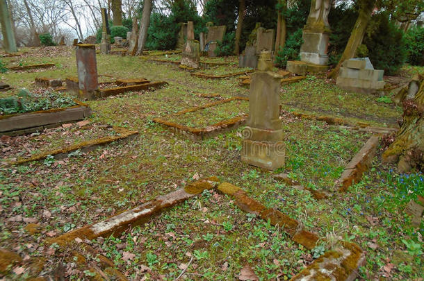 秋时间采用指已提到的人老的被放弃的和被洗劫犹太人的墓地