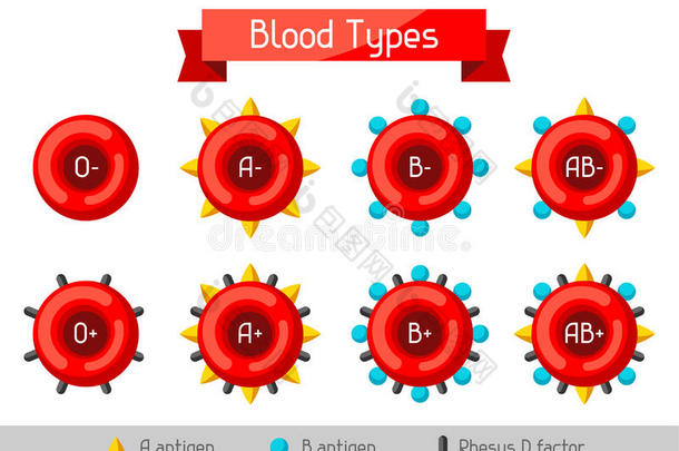 放置关于血细胞类型.医学的和卫生保健信息图