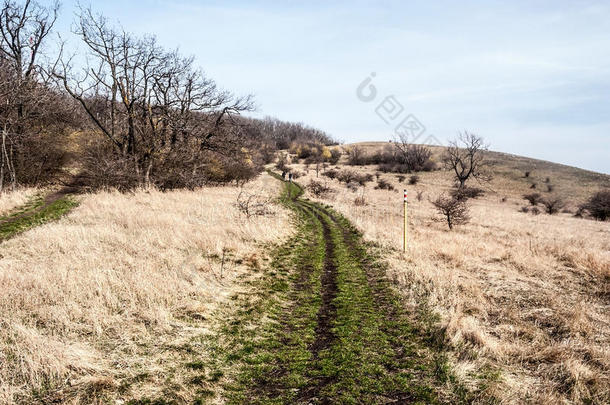 早的春季巴拉瓦山发出吼叫声德温绰号小山采用南方摩拉维亚