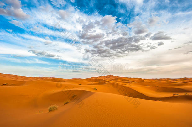 沙沙丘关于尔格切比,摩洛哥羊皮革