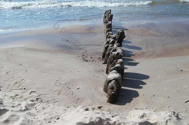 风景和木制的极采用立陶宛`英文字母表的第19个字母海滩