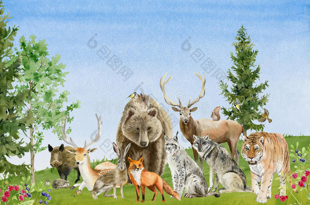 水彩手绘海报和动物