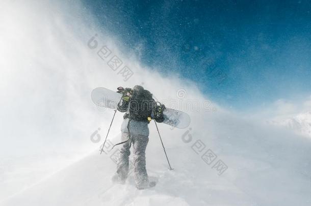 运动员走和滑雪板设备采用指已提到的人暴风雪