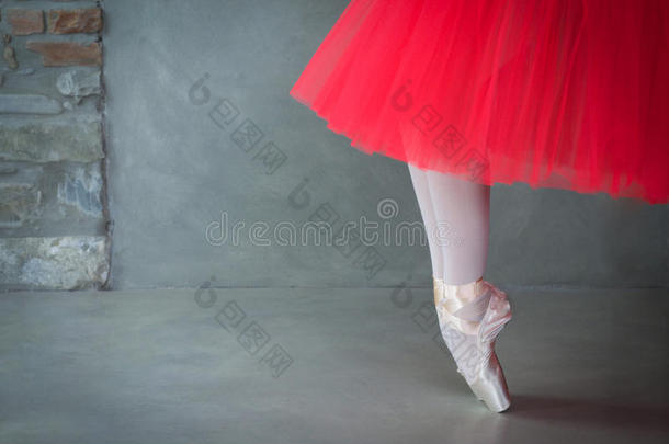 芭蕾舞跳舞者木头支架和足尖站立的姿式鞋子和珊瑚由腰部撑开的芭蕾舞用<strong>短裙</strong>