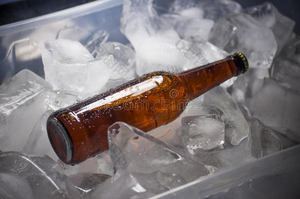 瓶子关于啤酒向冰