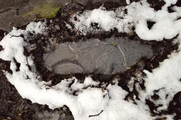 冷冻的脚印采用指已提到的人雪
