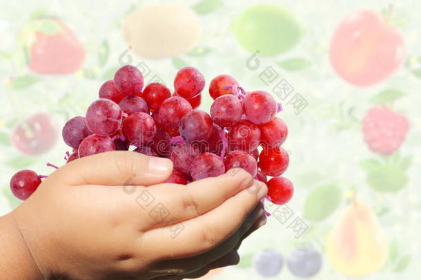 新鲜的红色的葡萄采用手