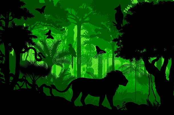 矢量傍晚热带的雨林丛林背景和狮子,