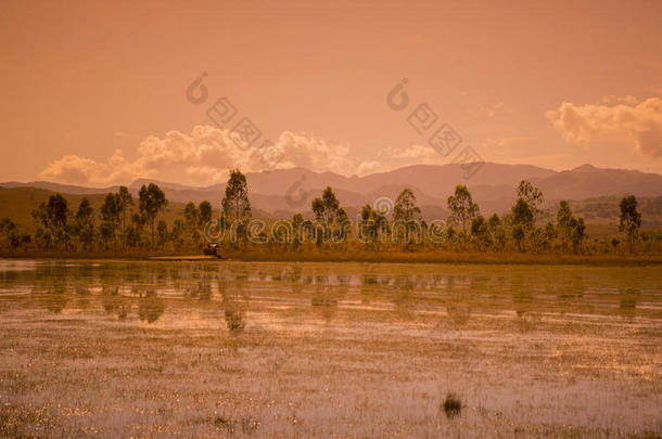 Laoag冯萨万<strong>风景</strong>农业