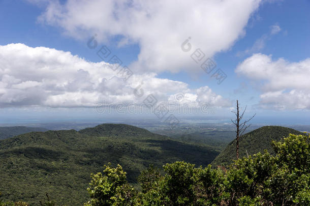 乡下的风景在指已提到的人加勒比海岛瓜德罗普岛