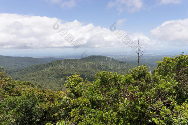 乡下的风景在指已提到的人加勒比海岛瓜德罗普岛