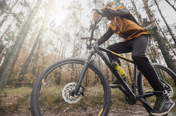 男人乘一自行车采用指已提到的人森林