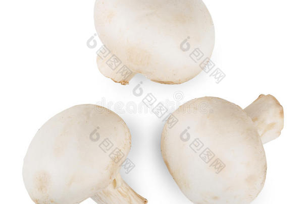 num.<strong>三生</strong>的蘑菇隔离的向白色的背景