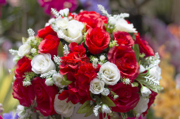 红色的玫瑰<strong>为爱为</strong>情人`英文字母表的第19个字母一天.