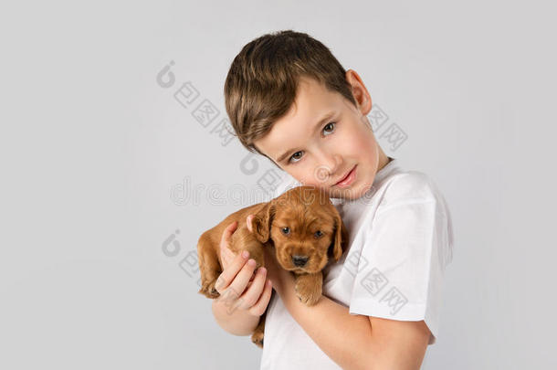 小孩宠物友情观念-小的男孩和红色的小狗隔离的