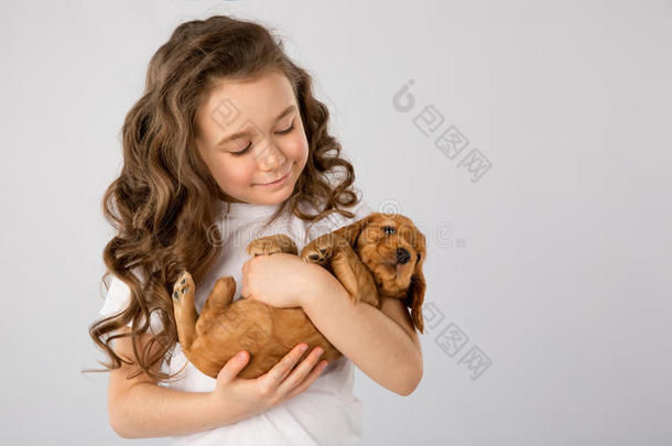 小孩宠物友情观念-小的女孩和红色的小狗使隔离