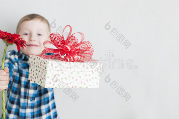小的男孩和红色的花和赠品盒