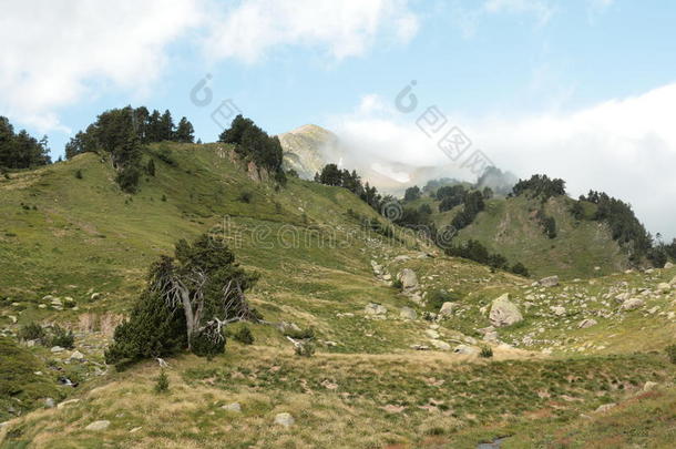 晚会山谷采用比利牛斯山脉Orientales-lapatriaolatumba东方同胞,法国