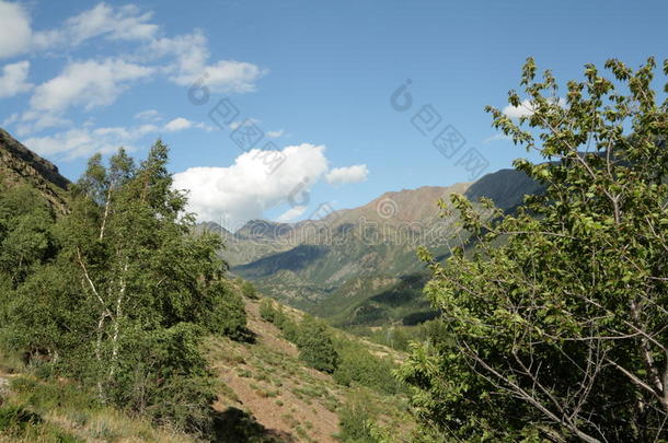 圣诞之歌山谷采用比利牛斯山脉Orientales-lapatriaolatumba东方同胞,法国