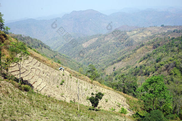 计划关于陆地采用指已提到的人mounta采用s