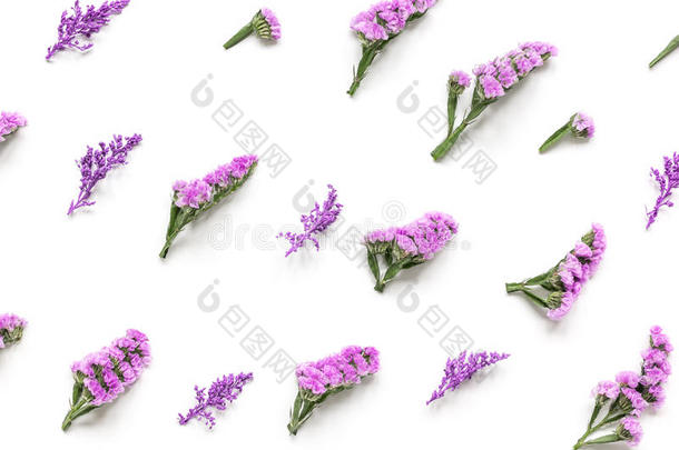 <strong>春季</strong>设计采用彩色粉笔<strong>颜</strong>色和紫色的花顶看法手法灵巧