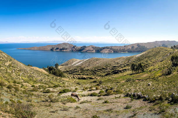 全景的看法关于艾拉来源于西班牙语地名微分算子大音阶的第五音向的的喀喀湖湖-玻利维亚条子毛绒