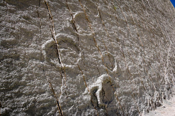 恐龙小路向smallcalorie卡奥奇科墙-苏克雷,玻利维亚条子毛绒
