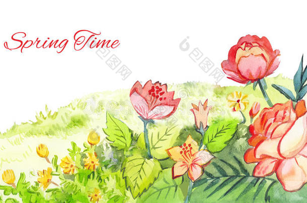 春季水<strong>彩页</strong>脚.红色的花绘画和水彩爸