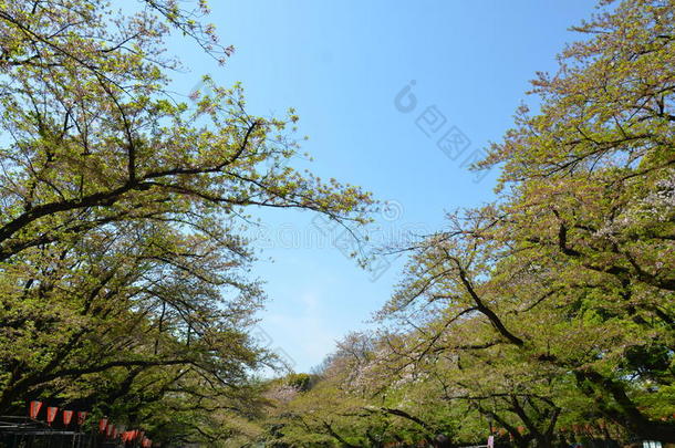 上野公园