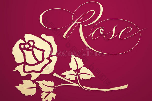 矢量优美的<strong>金色</strong>的玫瑰图解的元素和玫瑰<strong>字体</strong>.