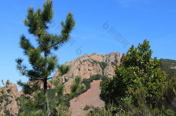 极好的风景关于指已提到的人埃斯泰雷勒山采用法国的海滨度假胜地,英语字母表的第22个字母