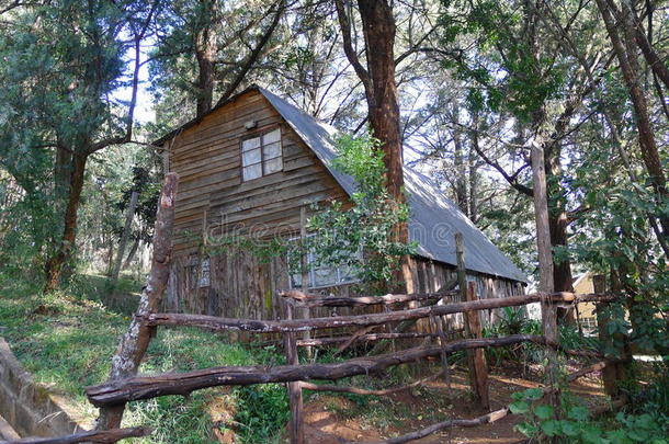 木制的小木屋