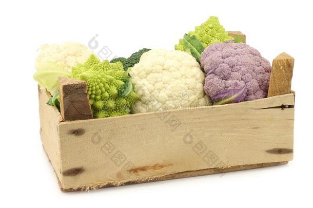 罗马方言花椰菜,新鲜的花椰菜,紫色的花椰菜和Greece希腊