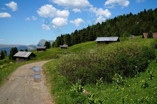 高山风景和木制的小木屋向绿色的草地