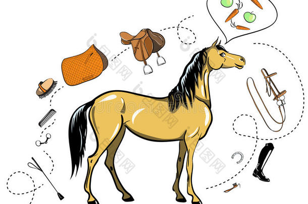 马和在马背上的骑马食物.约束,马鞍,马蹬,刷子,
