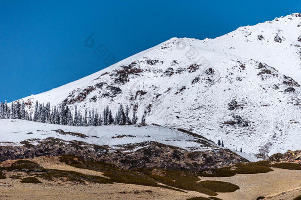 指已提到的人雪山关于天山